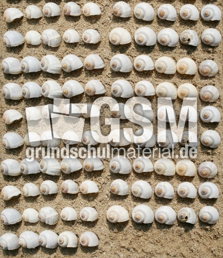 Schneckenhäuser-95.jpg